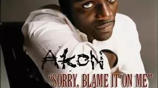 Akon   Sorry, Blame It On Me instrumental ft Stephane Renaud