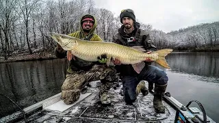 Pennsylvania Mega Musky!!!