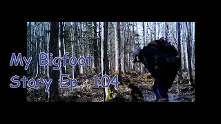 My Bigfoot Story Ep. 104 - Bigfoot Trail Cams Best Of Vol 1