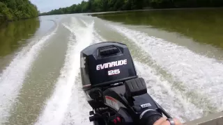 Evinrude E-tec 25