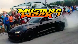 MUSTANG WEEK 2021 MYRTLE BEACH Burnouts/Drive Bys