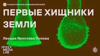 Онлайн-лекция Ярослава Попова "Первые хищники земли" | Дарвиновский музей