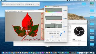 ImageJ Tutorial 1 - Measure Leaf Disease Area & Lesion Counts