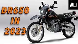 Why buy a Suzuki DR650 in 2023?