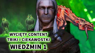 Wycięty content, triki i CIEKAWOSTKI z Wiedźmina 1: odcinek 17