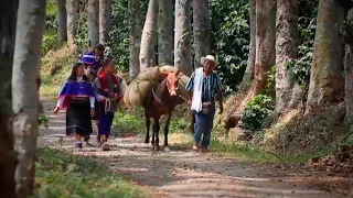 Entérese del Cambio: Colombia, un país de propietarios del campo para lograr la Paz Total