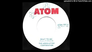 The Modulation Corporation - What To Do