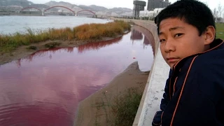 River In China Mysteriously Turns Blood Red Overnight