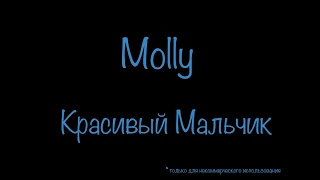 Molly - Красивый Мальчик (Слова, Текст песни) Lyrics - Поём Вместе с Исполнителем!