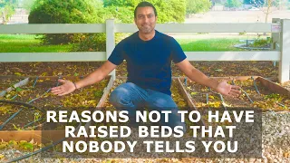 5 Reasons to Have and NOT to Have Raised Beds that NOBODY Tells You