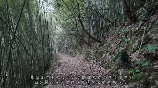 【 岡山県境にある廃村に向かっていたら道が悪くて徒歩で行く】1970年頃には住んでいた痕跡！ヤバい物が最後に見つかる！遺棄！