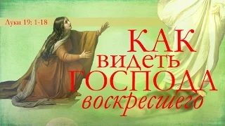 Как видеть Господа воскресшего? —  Андрея П. Чумакина | Иоанна 20:1-18