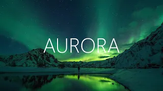 K-391 & RØRY - Aurora (Lyrics) Linko Remix