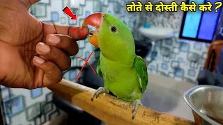 तोते से दोस्ती कैसे करे ? How to Bond/Friendship with your Parrot