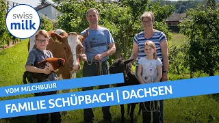 Video-Hofporträt von Familie Schüpbach aus Dachsen | Vom Milchbuur | Swissmilk (2020)