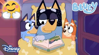 En Güzel Maceralar🐶 | Bluey | Disney Channel TR