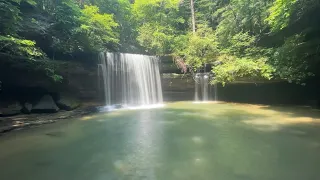 Bankhead National Forest Waterfall Tour - Sipsey Wilderness - Land of a Thousand Waterfalls