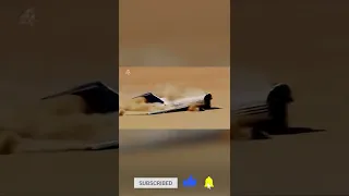 Insane Boeing 727 Crash Test in Desert! 🔥🌵