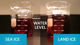 Heating H20: The Chemistry of Sea Level Rise | California Academy of Sciences