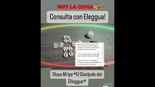 Otra Consulta (8-5) Osogbo (5-9).Eyeunle tonti Oshe.El Discipulo Del Diloggun 🎯