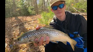 INSANE Trout & Salmon Fishing!