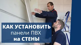 Как установить ПАНЕЛИ ПВХ на СТЕНЫ своими руками