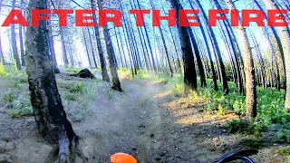 Penny Pines / Middle Creek OHV After The Fire 2020 PT2 2020