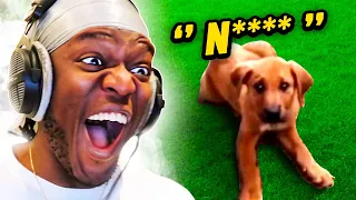 A Racist Dog? (Try Not To Laugh)