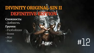 Прохождение Divinity: Original Sin II[DE]. Доблесть. Разбойник, Воин, Маг, Маг. #12