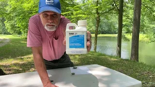 Using the nuclear option, Fluridone, to kill weeds in your pond.