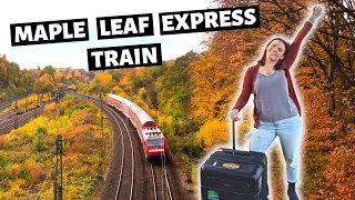 Scenic train ride in New York to See Fall Foliage // Maple Leaf train