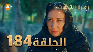 مسلسل زهرة الثالوث - الحلقة 184 | مدبلج | الموسم الثاني