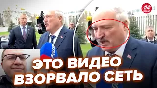 🔥Неадекватного Лукашенко сняли на видео! Взбесился из-за Украины, аж пена изо рта @RomanTsymbaliuk