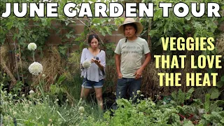 Vegetables that Thrive During the Summer Heat June Garden Tour