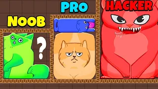 NOOB vs PRO vs HACKER - Puzzle Cats