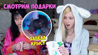 Да, это про подарки 🐭