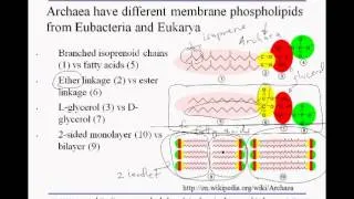 3 2A 3domains lipids