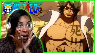 NEW ADMIRAL, BOUNTIES AND YONKOU'S!!! | ONE PIECE EPISODE 1080 REACTION