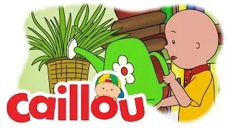 Caillou - Helping Mrs. Howard  (S05E19) | Videos For Kids