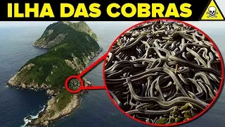 Conheça a PERIGOSA Ilha das COBRAS