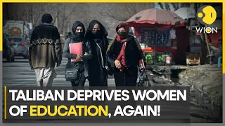 Afghan colleges reopen, only men allowed! | Taliban | WION Pulse | Latest English News