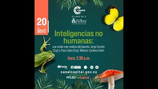 Inteligencias no humanas: una visión más realista del planeta con Jorge Carrión | FILBo 2024