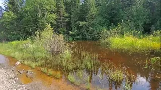 Unclogging Culvert Grate To Drain Flooding Pond, Blocked By Beavers