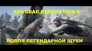 Red Dead Redemption 2  Ловля легендарной Щуки. #BigSteve