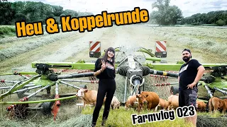 Von Koppel zu Koppel🐮🐴 | Schwaden mit Claas Liner 2700 - Farmvlog 023