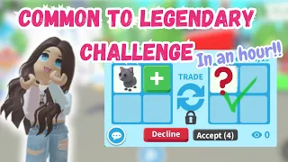 🌟COMMON to LEGENDARY Challenge *IN AN HOUR*✅ #adoptmeroblox