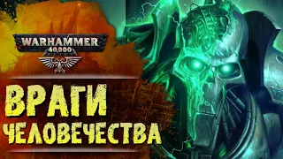 ОСНОВЫ WARHAMMER 40k: ВРАГИ ИМПЕРИУМА, РАСЫ КСЕНОСОВ. История вселенной Вархаммер 40000, Сезон 0