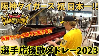 【ストリートピアノ】阪神タイガース 日本一記念!!『選手応援歌メドレー2023＆六甲おろし』阪神ファンが続々と集まる!?〔大阪ＡＴＣ・南港ストリートピアノ〕