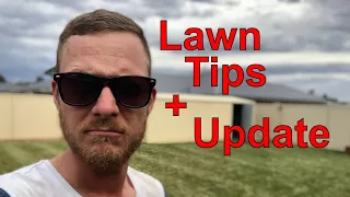 Lawn Tips + Lawn Update