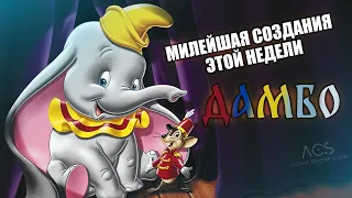 ОБЗОР ЭТОЙ НЕДЕЛИ ДАМБО!!!